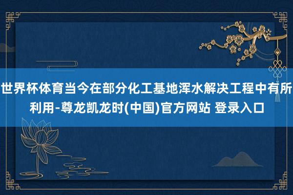 世界杯体育当今在部分化工基地浑水解决工程中有所利用-尊龙凯龙时(中国)官方网站 登录入口